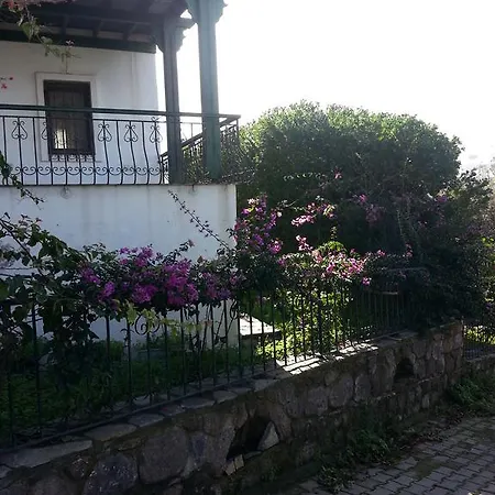 Bodrum Bougainvilliers Villa Golturkbuku