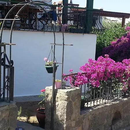 Bodrum Bougainvilliers 빌라 골터크부쿠