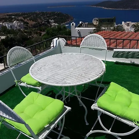 Bodrum Bougainvilliers *